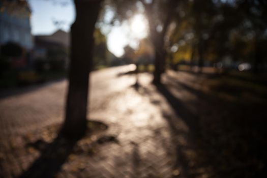 Defocused image of autumn city park with trees and sunlight