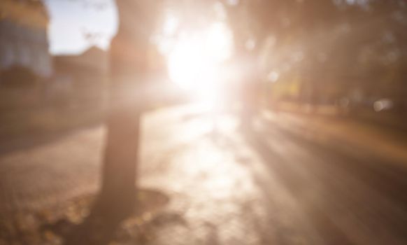Defocused image of autumn city park with trees and sunlight