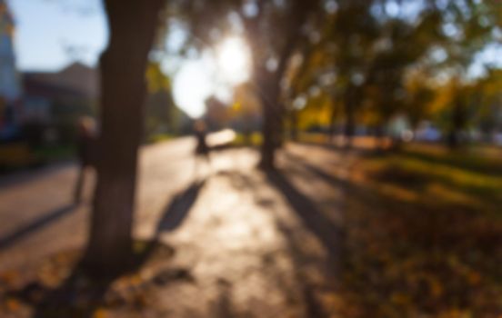 Defocused image of autumn city park with trees and sunlight