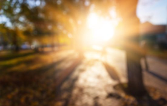 Defocused image of autumn city park with trees and sunlight