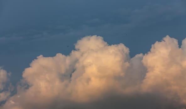 Evening Cloud and blue sky. Sluffy cumulonimbus clouds. Nature background