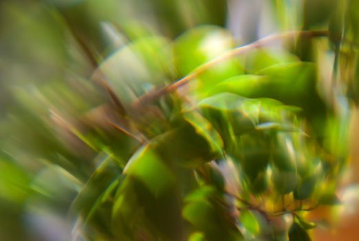Defocused leaves. Abstract background with bokeh
