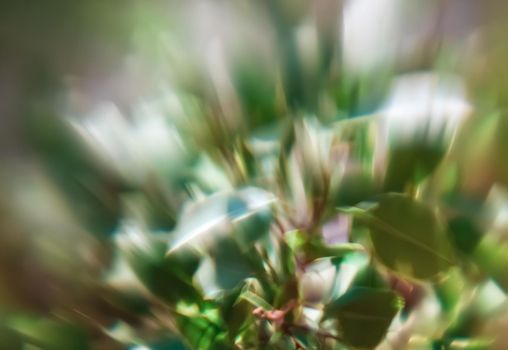 Defocused leaves. Abstract background with bokeh