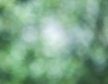 Blur green leaves with bokeh, abstract blurred background, template