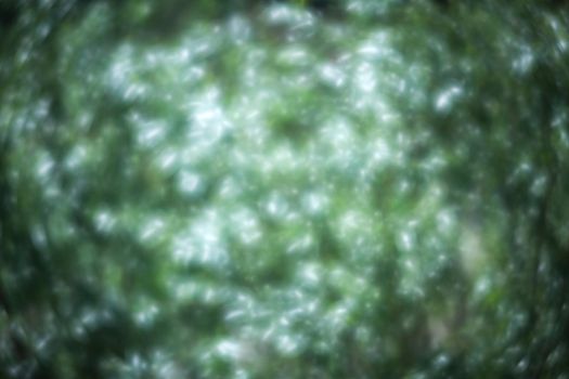 Abstract nature blurred background. Blur green leaves with bokeh