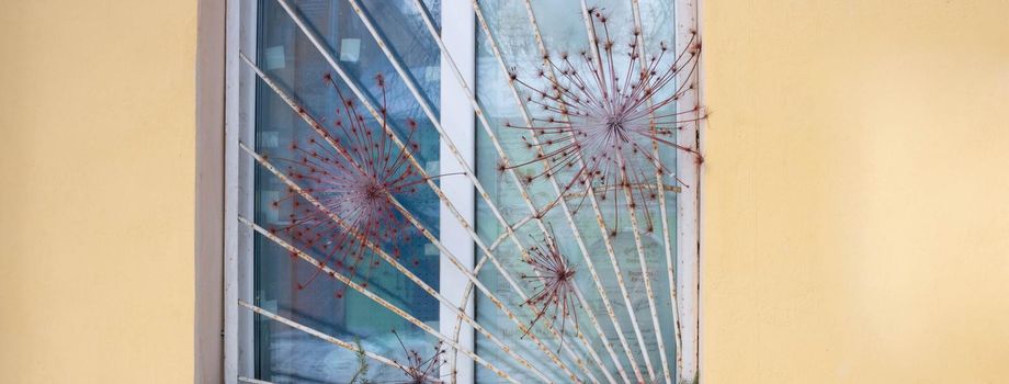 Window with grating and dry umbrella plants.