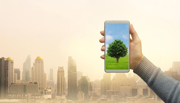 Woman hand holds modern green tree screen smartphone on city background. Saving environment and natural conservation concept.