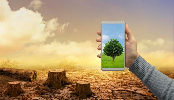 Woman hand holds modern green tree screen smartphone on dead stump tree and cracked land. Saving environment and natural conservation concept.