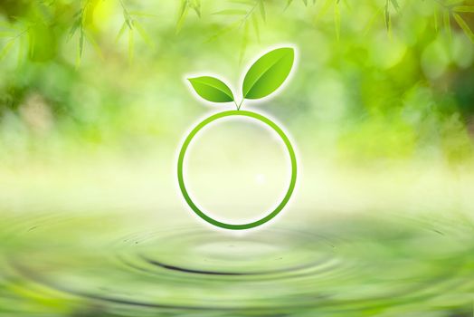 Green leaf circle on drop falling in water with ripples with light green bokeh background.