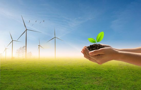 A small green tree in hand on the background of flock of birds, blue sky and green field with turbines.Green energy and nature concept.