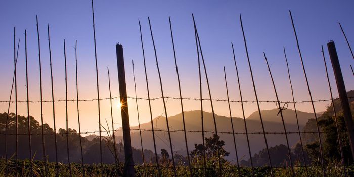 image of foggy mountain and barbed wire wall in sunny day.