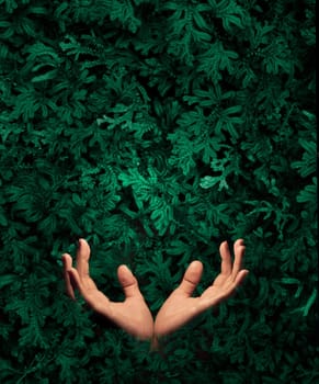 Hands sticking out of green trees. background of summer green.