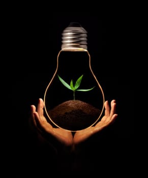 hand holding a light bulb with fresh green leaves inside, isolated on black background.
