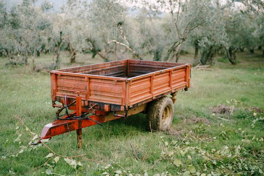 A metal car trailer, with dirty wheels, in an olive grove.