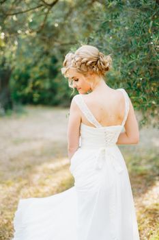 A gentle blonde bride stands by an olive tree in the middle of a grove, back view. High quality photo