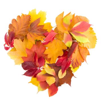 Autumn heart symbol isolated on white background.