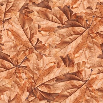Dry autumn leaves background. Seamless pattern