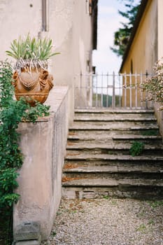 An ancient stone staircase and a clay pot with flowers. On the territory of an old villa in Italy.
