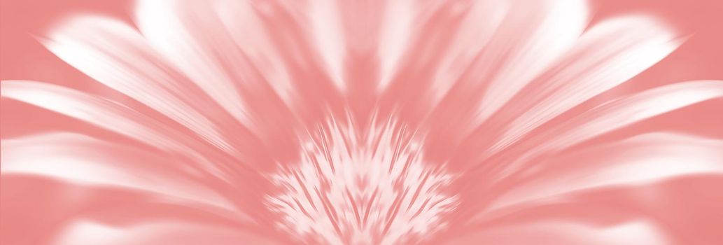 Floral background. Abstract blurred image of gerbera flowers. Image in the trendy coral color