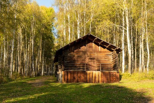 Wooden building on the background of a birch grove. Irkutsk region, Taltsy