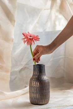 Hands of a young woman with Copper color handmade ceramic vase and pink flower on Blush textured table cloth. Home decor, Copy space, Selective focus.