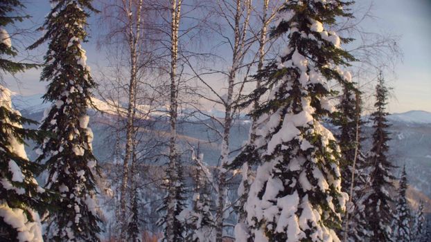 Panoramic view of the winter forest in the Siberian mountains