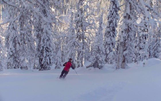 A man riding down the hill in a snowy forest, side view. Freeride in Siberia.