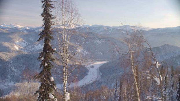 View of the winter forest in the Siberian mountains