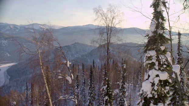 View of the winter forest in the Siberian mountains