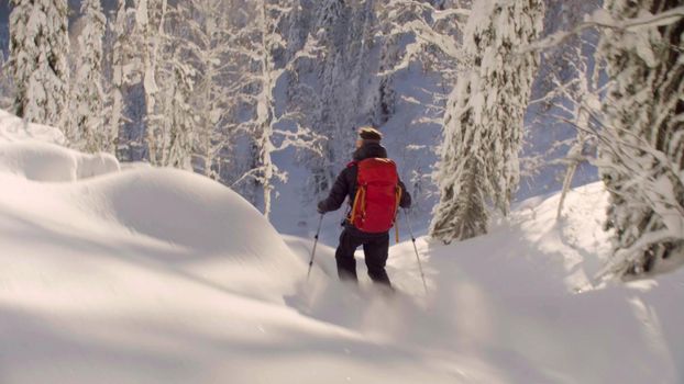 A man riding down the hill in a snowy forest, side view. Freeride in Siberia.