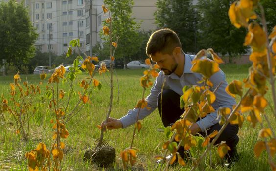 Ecological inspector cheking root system of the bush and making notes in the diary. Irresponsibility of park workers