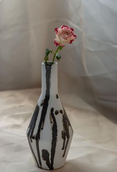 Pink flower in Black and White handmade ceramic vase and on Blush textured table cloth. Home decor, Copy space, Selective focus.
