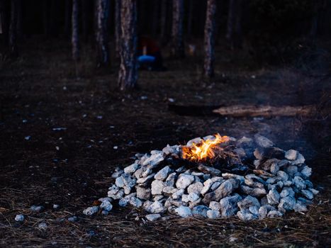 kindled fire in nature in the forest and trees In the background. High quality photo
