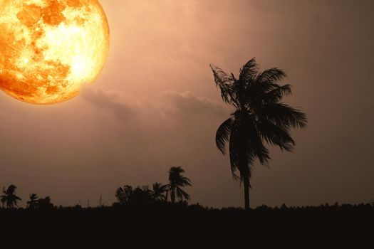 Full harvest blood moon and silhouette coconut tree in the field and night sky, Elements of this image furnished by NASA