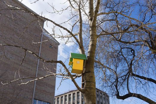 Urban landscape with bird houses on the background of trees without leaves.