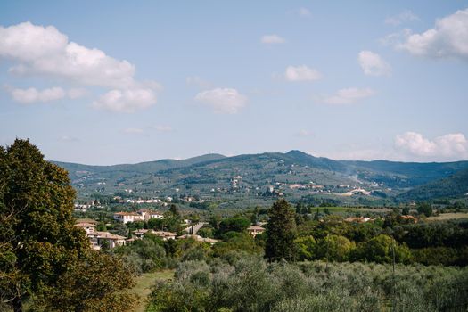 View on the olive groves from the old villa in Italy, in Tuscany, near Florence.