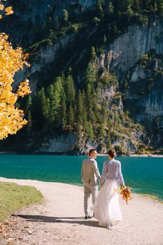 Bride and groom under autumn tree, with fiery yellow foliage, at Lago di Braies in Italy. Destination wedding in Europe, at Braies lake. In love newlyweds run after each other.