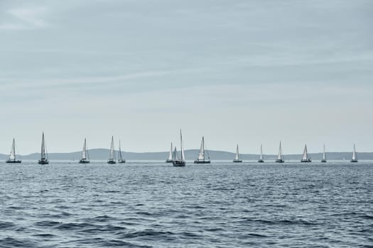 Beautiful sea landscape with sailboats, the race of sailboats on the horizon, a regatta, a Intense competition, island with windmills are on background