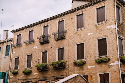 Brick three-storey building with closed brown shutters, pots with lush green flowers.