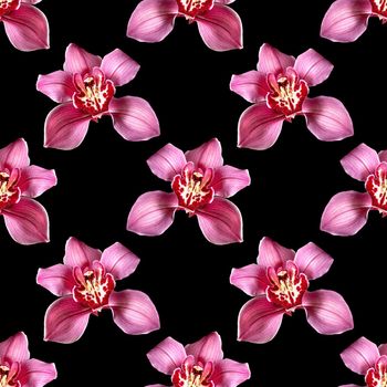 Seamless image with cymbidium orchid isolated on black background