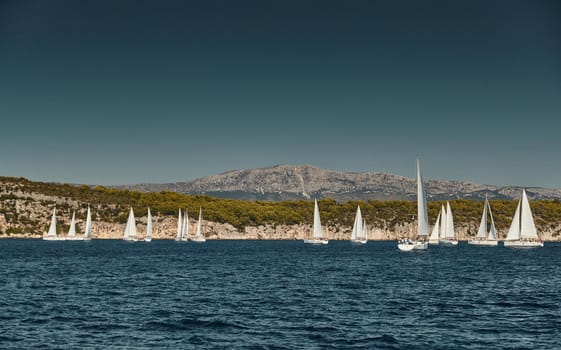 Beautiful sea landscape with sailboats, the race of sailboats on the horizon, a regatta, a Intense competition, island with windmills are on background