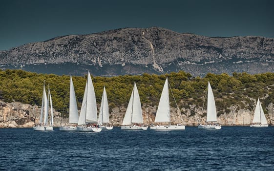 Beautiful sea landscape with sailboats, the race of sailboats on the horizon, a regatta, a Intense competition, island with windmills are on background