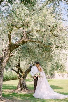 Wedding in Florence, Italy, in an old villa-winery. The wedding couple stands under an olive tree. The bride and groom walk in an olive grove.