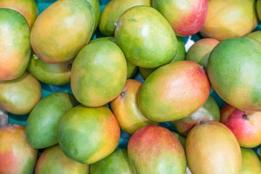 ripe mangoes close-up on store shelves. tropical fruits. High quality photo