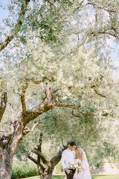 Wedding in Florence, Italy, in an old villa-winery. The wedding couple stands under an olive tree. The bride and groom walk in an olive grove.