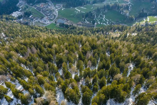 Aerial view of huge valley of the mountains of Italy, Trentino, Slopes with green spruce trees, Dolomites on background, The town in the bottom of a valley