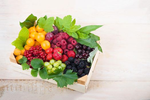 berry mix isolated on a white background.