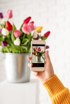 Blogging. Female hand holding mobile phone taking picture of tulips flowers