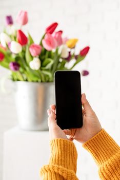 Blogging. Female hand holding mobile phone taking picture of tulips flowers. Blank screen