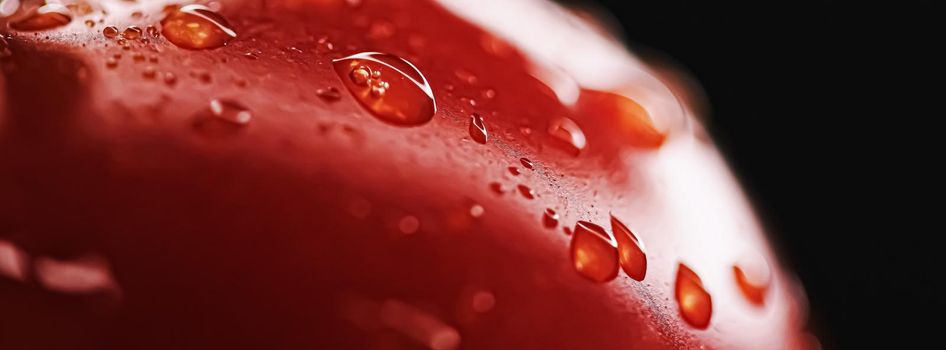 Fresh ripe tomato, organic food closeup